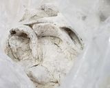 鰰の南蛮漬け作り方4写真