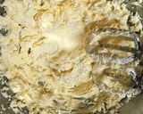焼きたい時にいつでも焼ける♡クッキー作り方3写真