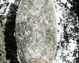元祖落花生の豆餅作り方15写真