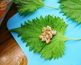 カリカリサクサク納豆大葉のり天ぷら作り方2写真