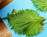 カリカリサクサク納豆大葉のり天ぷら作り方4写真