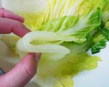 ロ～ル白菜作り方1写真