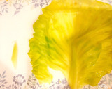 ロールキャベツ〜トマトスープ仕立て〜作り方5写真