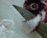 タコのフレッシュバジルソース作り方1写真