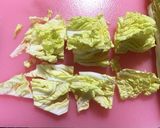 白菜の浅漬け作り方1写真
