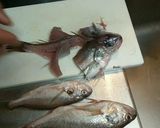 イシモチ魚の甘酢あんかけ【糖醋黄魚】作り方4写真