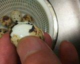 おっさんのうずらの茹で卵作り方6写真
