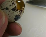 おっさんのうずらの茹で卵作り方8写真
