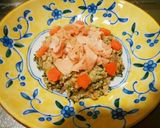 犬ご飯　健康1番 ひなちらし風作り方6写真