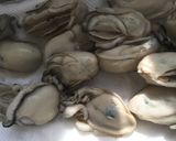 簡単 牡蠣の昆布焼き作り方4写真