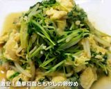 いつも成功!秘密の豆苗再生法 育て方作り方12写真
