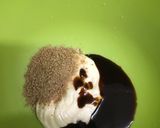 ご馳走サラダ作り方5写真