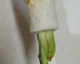 電子レンジでたらの芽とちくわの味噌あえ作り方3写真