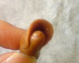 .ﾟ.｡黒薔薇チョコクッキーﾟ.｡.作り方5写真