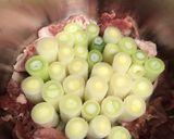 材料3つ！スタンディングねぎ塩鍋作り方3写真