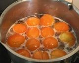 きんかんの甘露煮(高知県土佐市の郷土食)作り方6写真