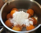 きんかんの甘露煮(高知県土佐市の郷土食)作り方5写真