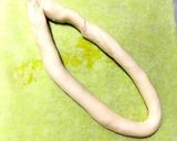 余ったパイシートで簡単パイ作り方2写真