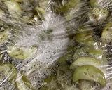 レンジで簡単☆西洋白なすの梅肉和え作り方3写真
