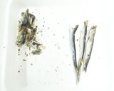 食品乾燥機で煮干しの作り方作り方12写真