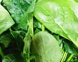 ほうれん草とかぼちゃの豚肉巻きフライ作り方1写真