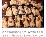 三色がキュートなミケ猫クッキー作り方15写真