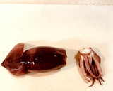 相性抜群！イカの明太マヨチーズ焼き☆作り方1写真