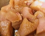 トロトロ餅とプリプリ食感の鶏肉野菜鍋作り方1写真