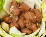トロトロ餅とプリプリ食感の鶏肉野菜鍋作り方3写真