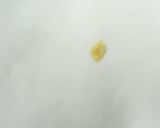 食品乾燥機「ドラミニ」で打ち豆の作り方作り方7写真
