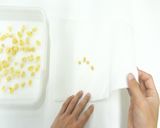 食品乾燥機「ドラミニ」で打ち豆の作り方作り方5写真