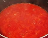 離乳食 万能 トマトソース作り方5写真