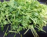 簡単★あと1品【大根と豆苗の中華和え】作り方4写真