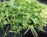 簡単★あと１品【大根と豆苗の中華和え】作り方4写真