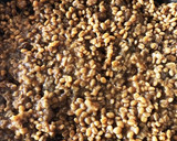 ひしお味噌を手作り、ヨーグルティア作り方7写真