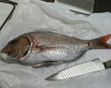 鯛解体の図。作り方1写真