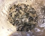 胡麻大福作り方5写真