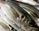 アジ尾頭付きのムニエル風〜ごま油の香り〜作り方1写真