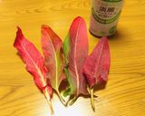 スイバとわかめのおろし和え作り方1写真