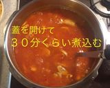 スパイス トマトカレー作り方15写真