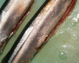 お弁当・食べやすい＊骨抜き秋刀魚の塩焼き作り方2写真