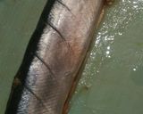 お弁当・食べやすい＊骨抜き秋刀魚の塩焼き作り方3写真