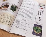 菜花の粒マスタード和えでミニ春巻き作り方8写真