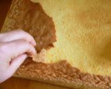 苺とホワイトチョコのババロアケーキ作り方14写真