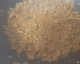 安くて美味しい 麻婆もやし作り方4写真