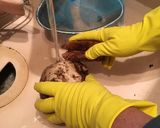 こんにゃく作り(生芋)作り方1写真