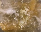 ステーキ肉で作るミートソースパスタ作り方8写真