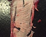 102鹿の筋膜　焼肉風作り方3写真