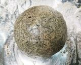 紅茶のタルト台作り方9写真