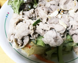ささみと大根のめんつゆサラダ作り方10写真